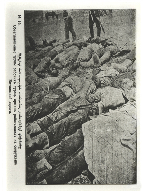 Bei Bitlis: Enthauptete Leichen armenischer Zwangsarbeiter - (Ref-Nr. img024)