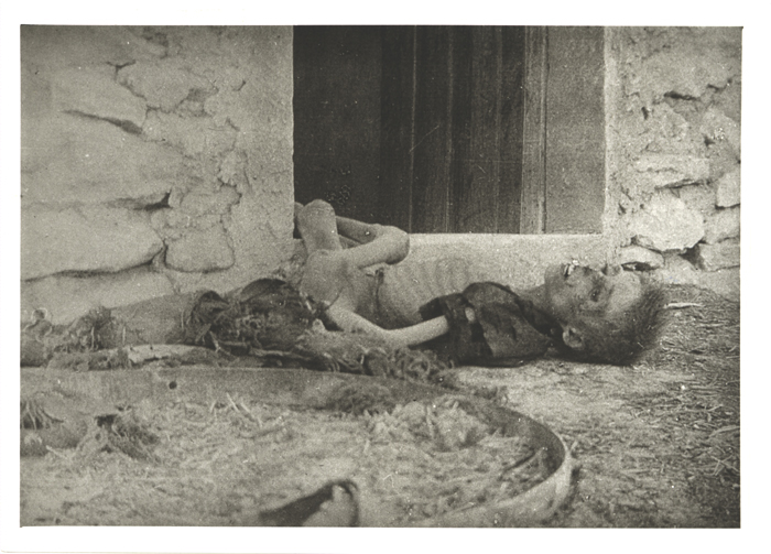 Die ausgehungerte Gestalt eines zwölfjährigen armenischen Knaben - (Ref-Nr. img048)